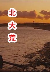白上关花