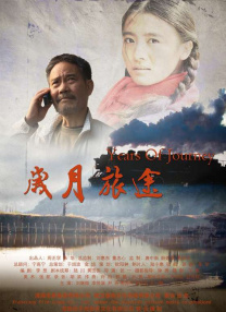 成人在线视频网