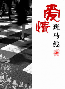 久久婷婷一区二区三区